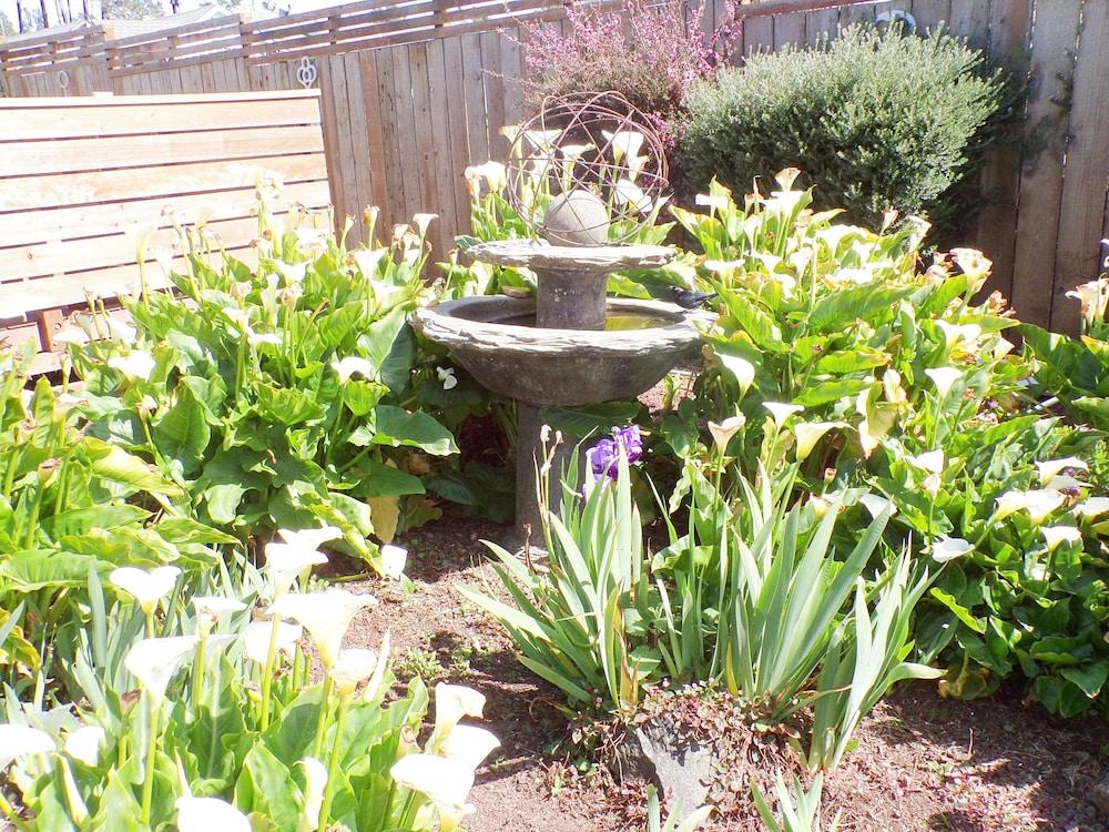 Shoreline Cottages photo 44