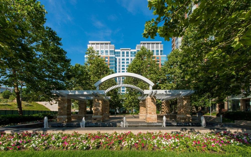 Bluebird Suites in Tysons Corner photo 24