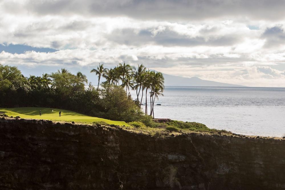 Four Seasons Resort Lanai photo 75