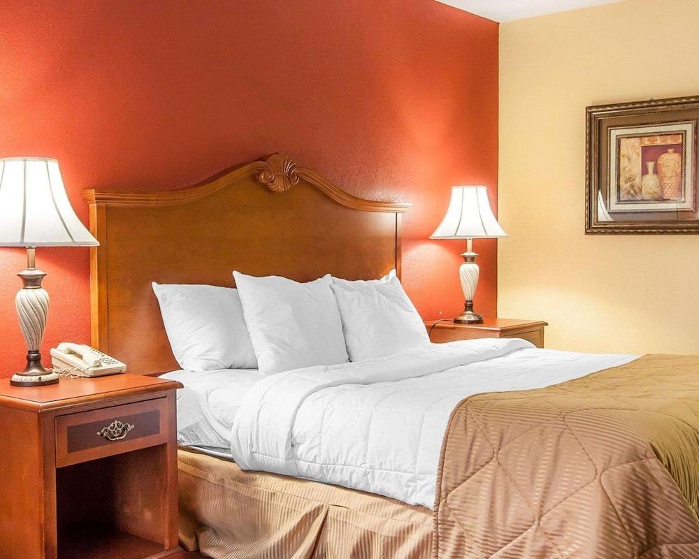 Clarion Inn & Suites University Center photo 5