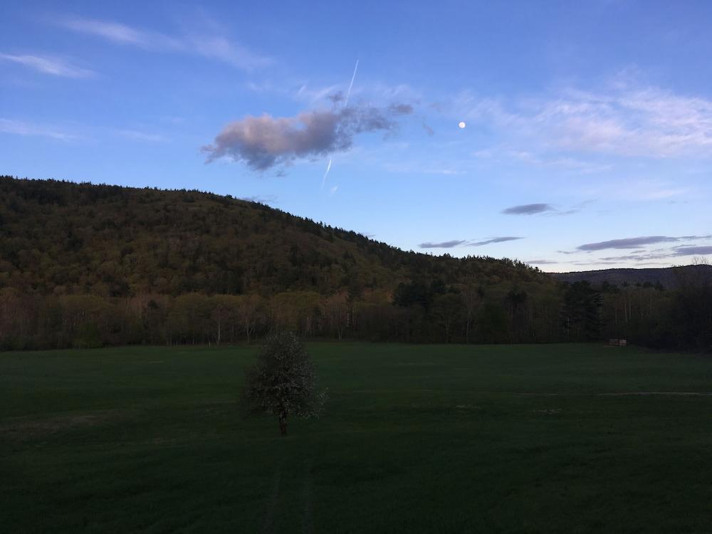 The Lodge at West River photo 23