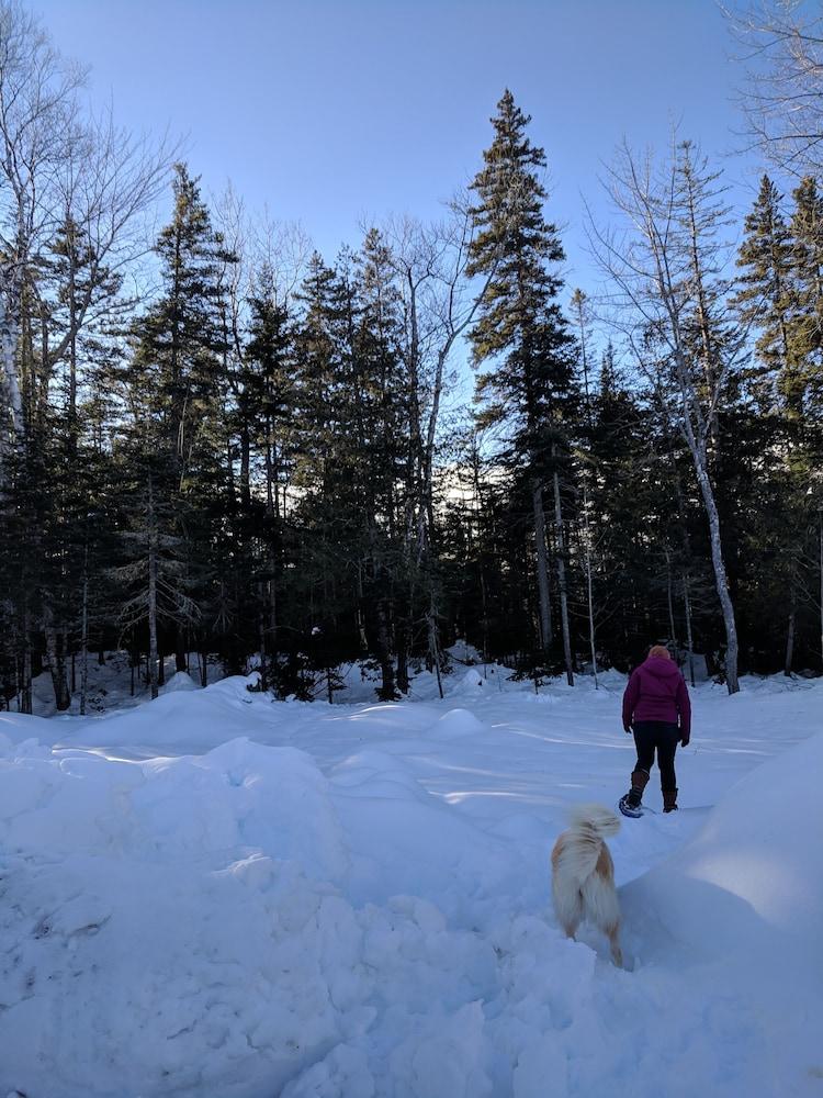 Hostel Of Maine photo 27