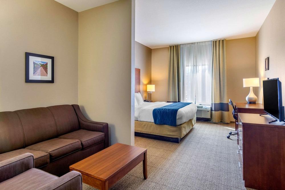 Comfort Inn South Chesterfield - Colonial Heights photo 20