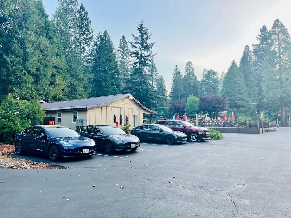Shasta Inn photo 17