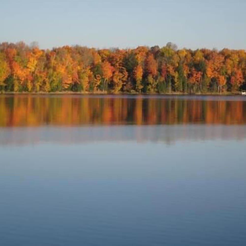 Chicaugon Lake Inn photo 64