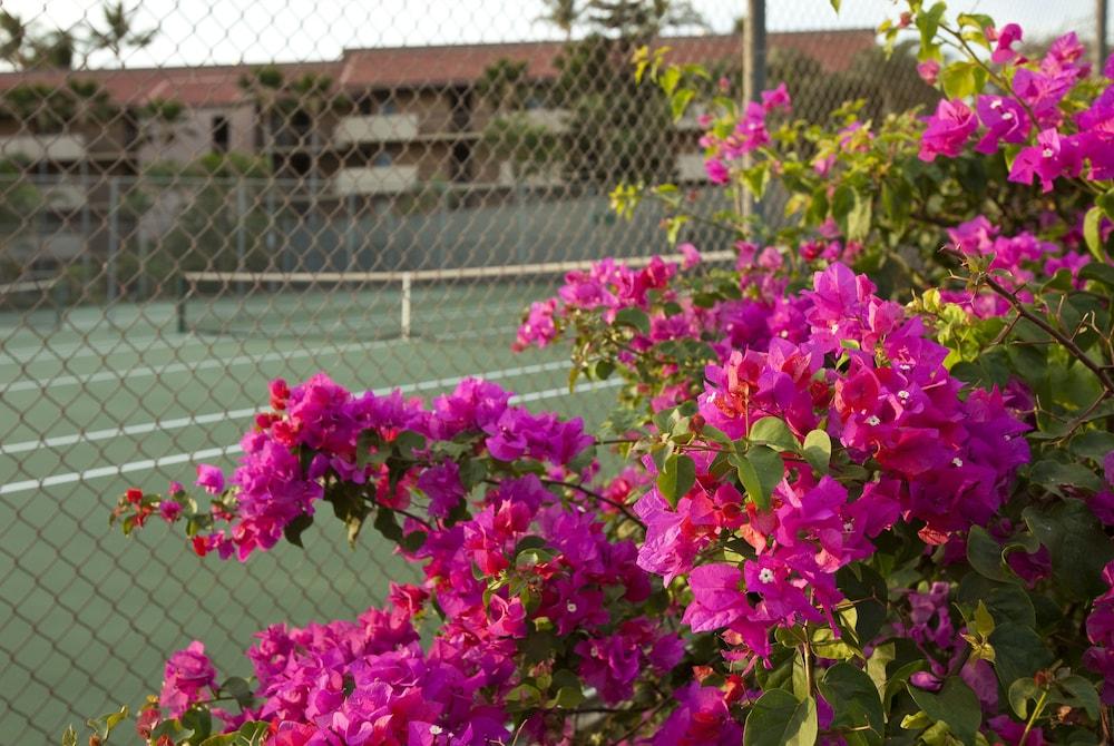 Maui Vista – Maui Condo & Home photo 7