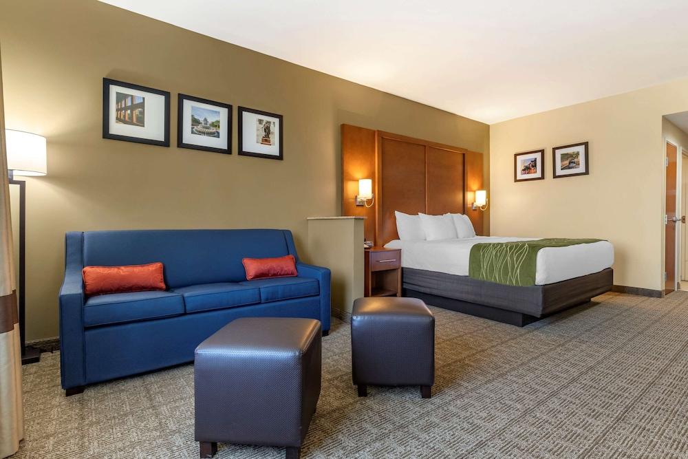 Comfort Inn & Suites Orangeburg photo 26