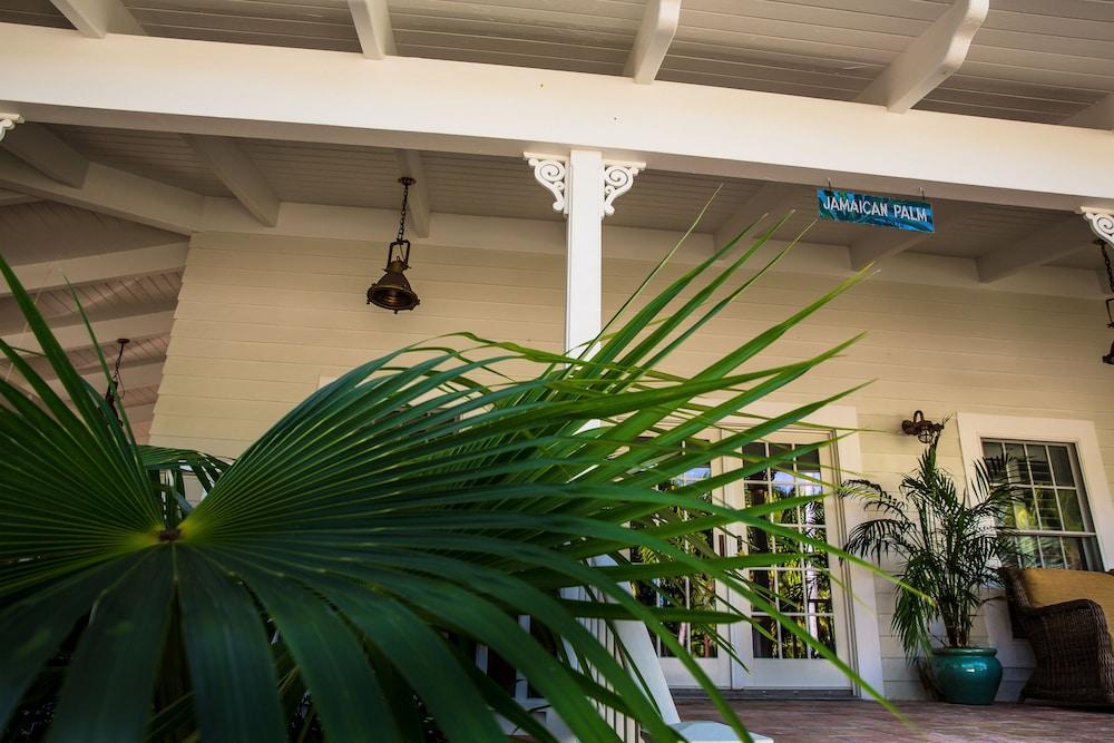 The Caribbean Resort photo 42