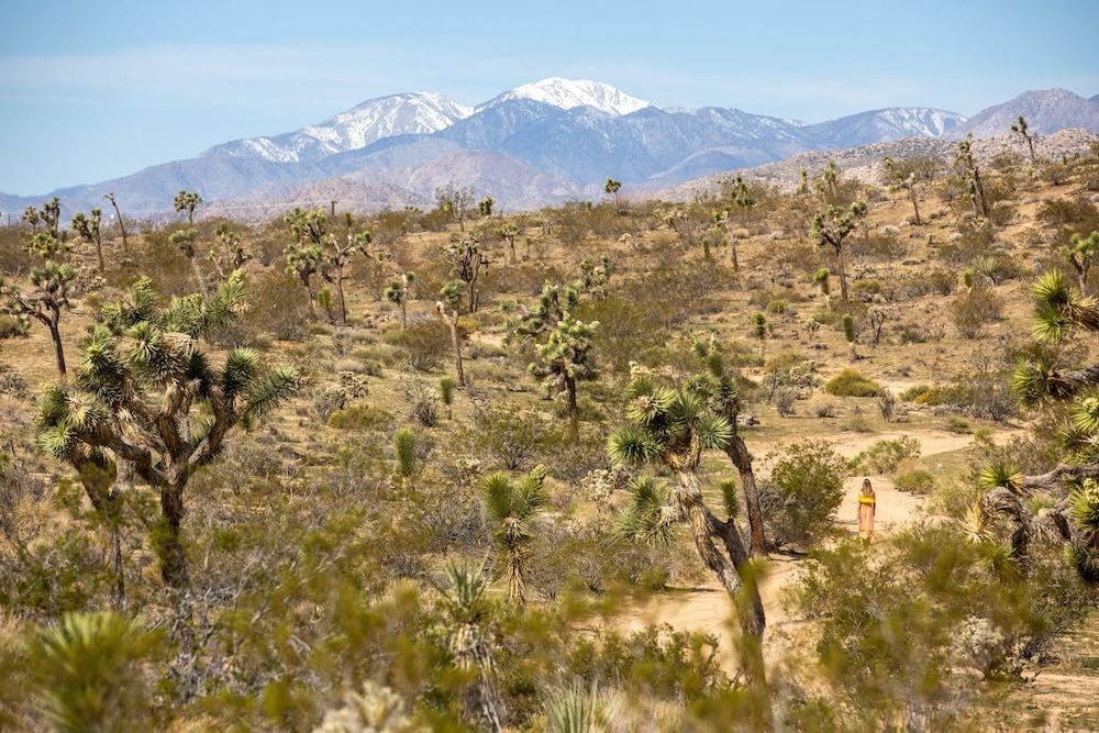The Bungalows by Homestead Modern at The Joshua Tree Retreat Center photo 58
