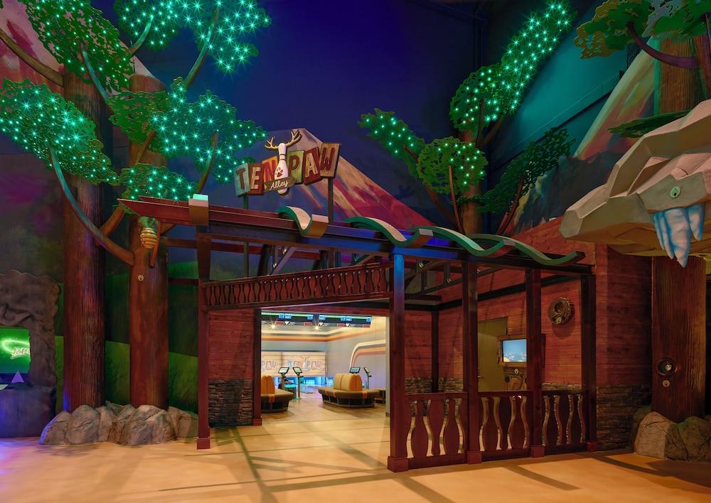 Great Wolf Lodge Webster photo 39
