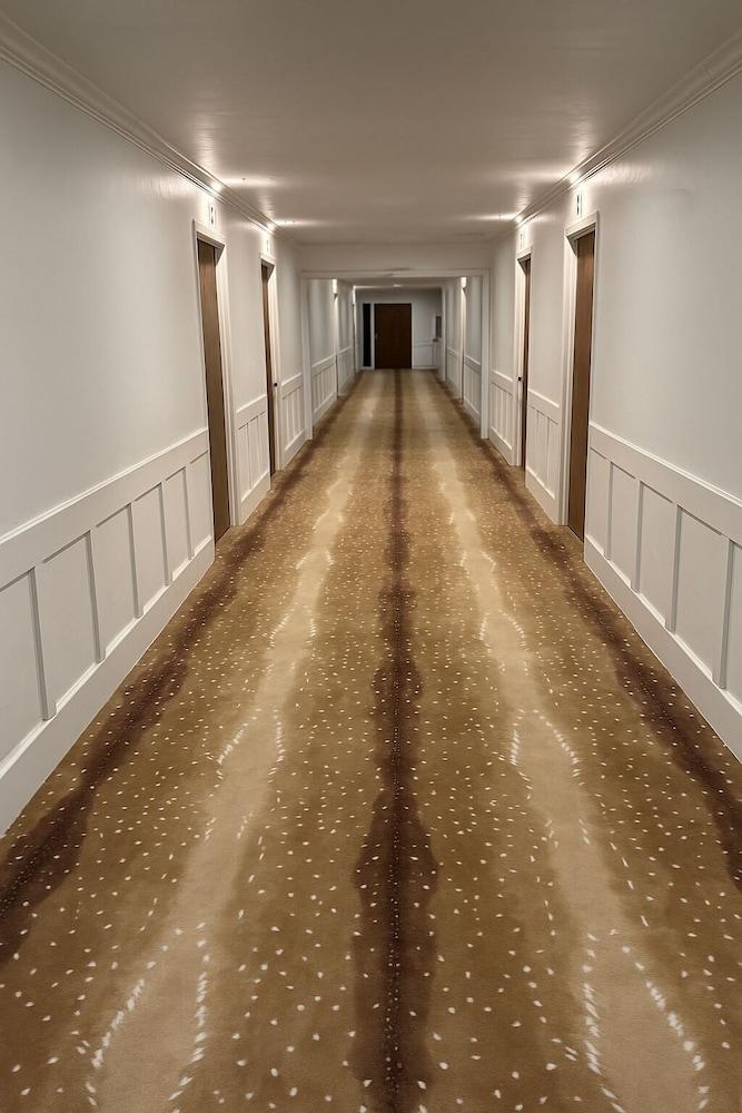 The Hotel Henry photo 7