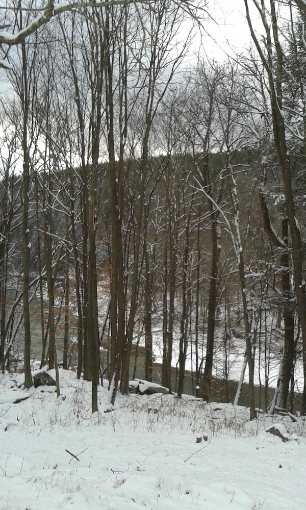 Black Bear Lodge photo 26