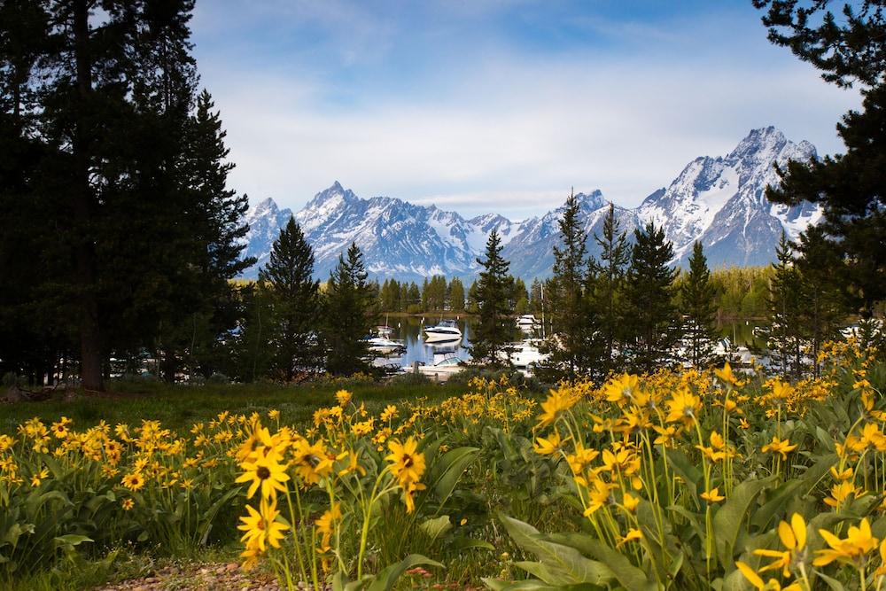 Colter Bay Village photo 36