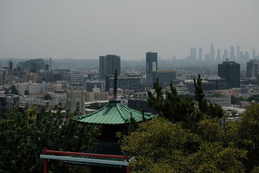 Hollywood Hills Hotel photo 8