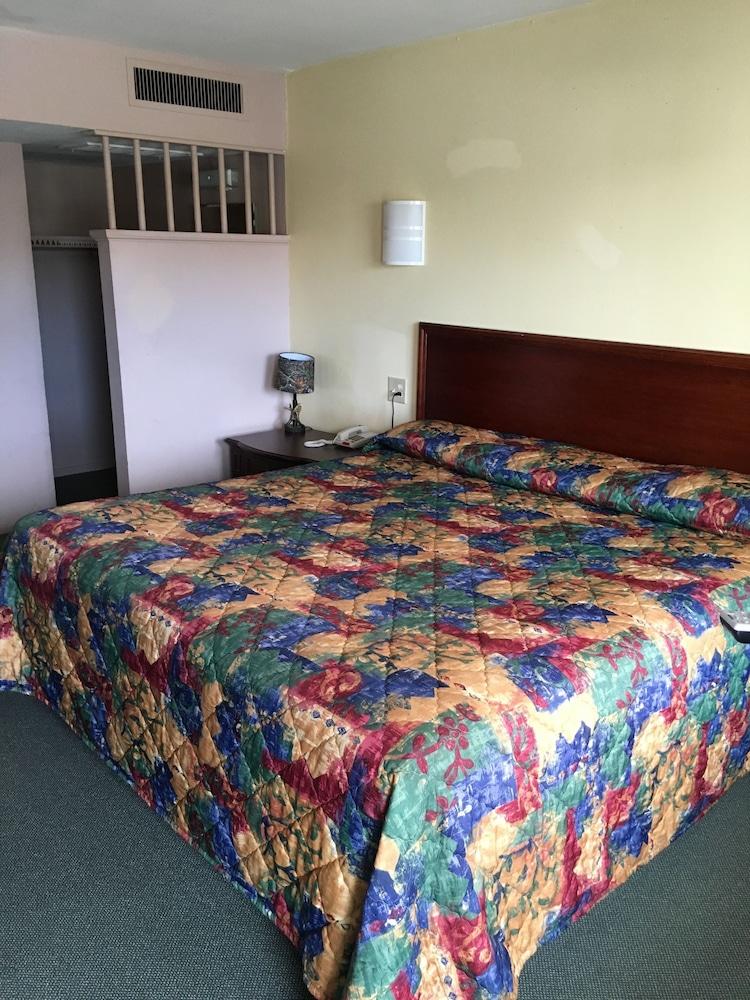 University Lodge Motel photo 4
