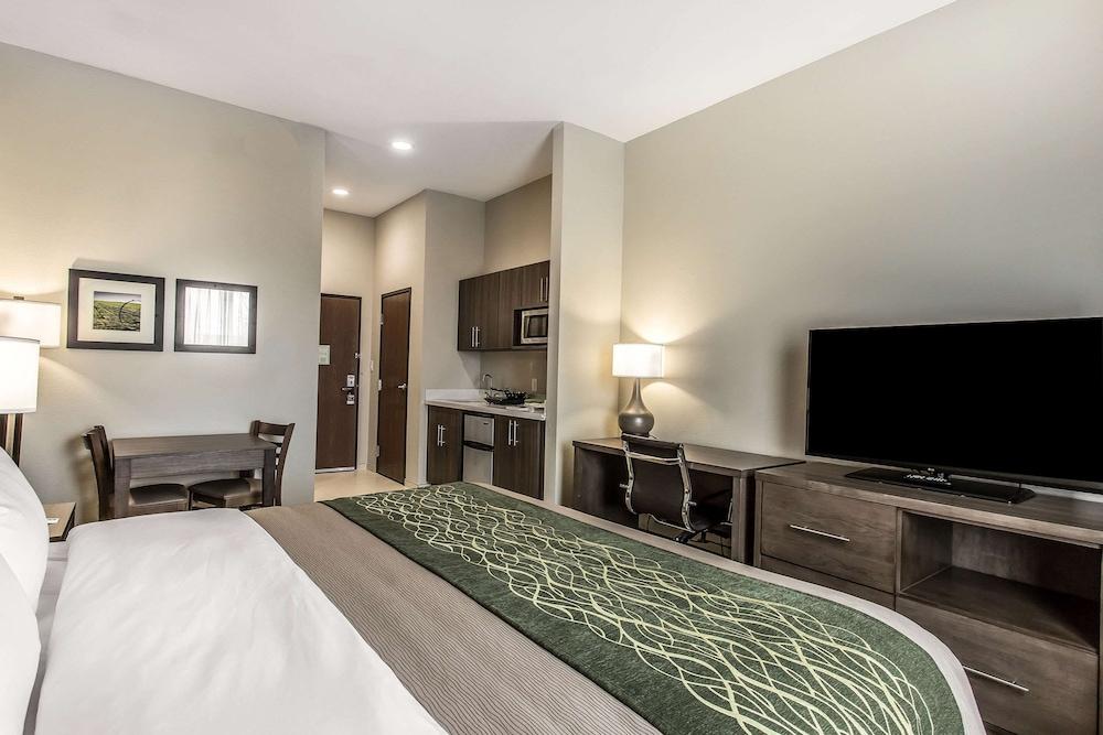 Comfort Inn & Suites Snyder photo 10