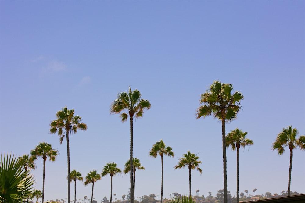 Ocean Beach Hotel photo 64