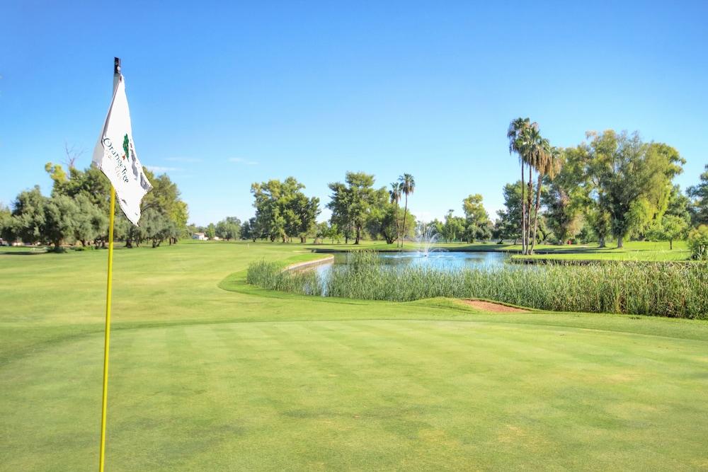 Orange Tree Resort photo 35