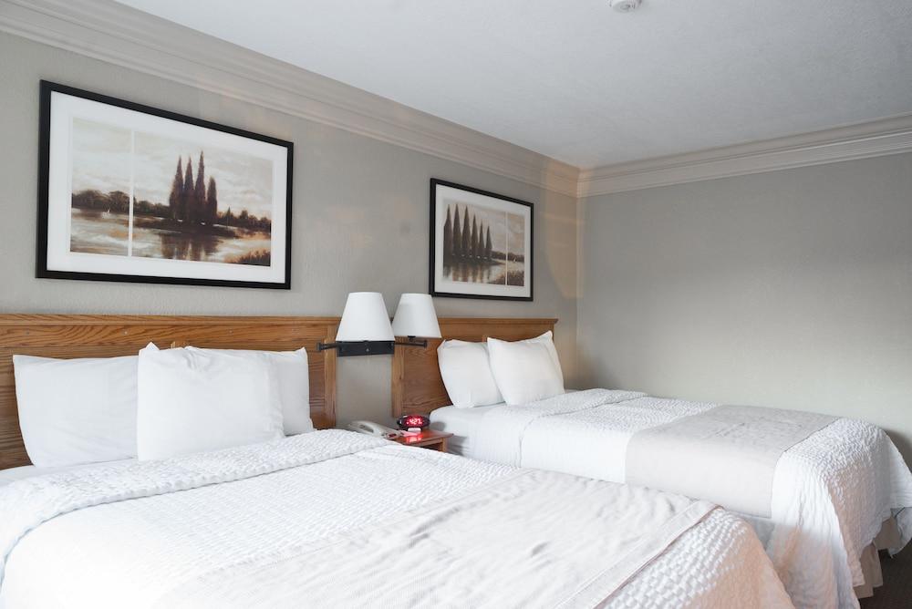 Coachman Inn & Suites photo 11