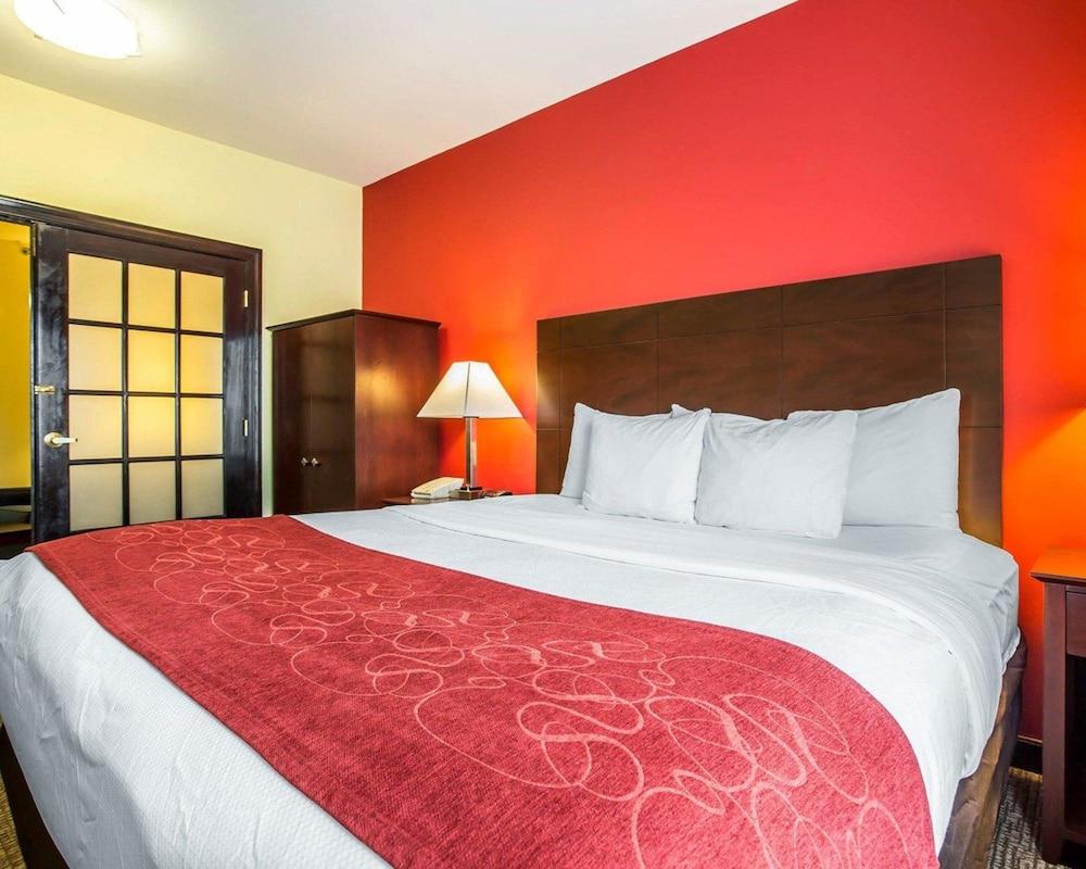 Comfort Suites Rock Hill Manchester Meadows Area photo 17