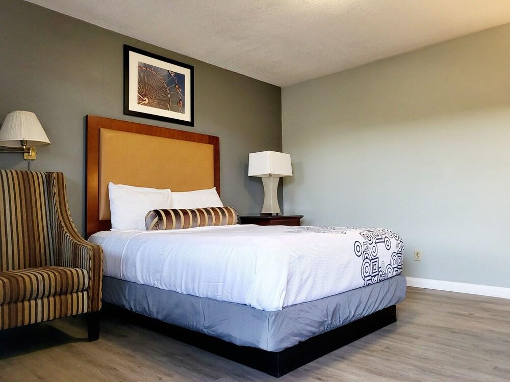 Star Inn photo 24