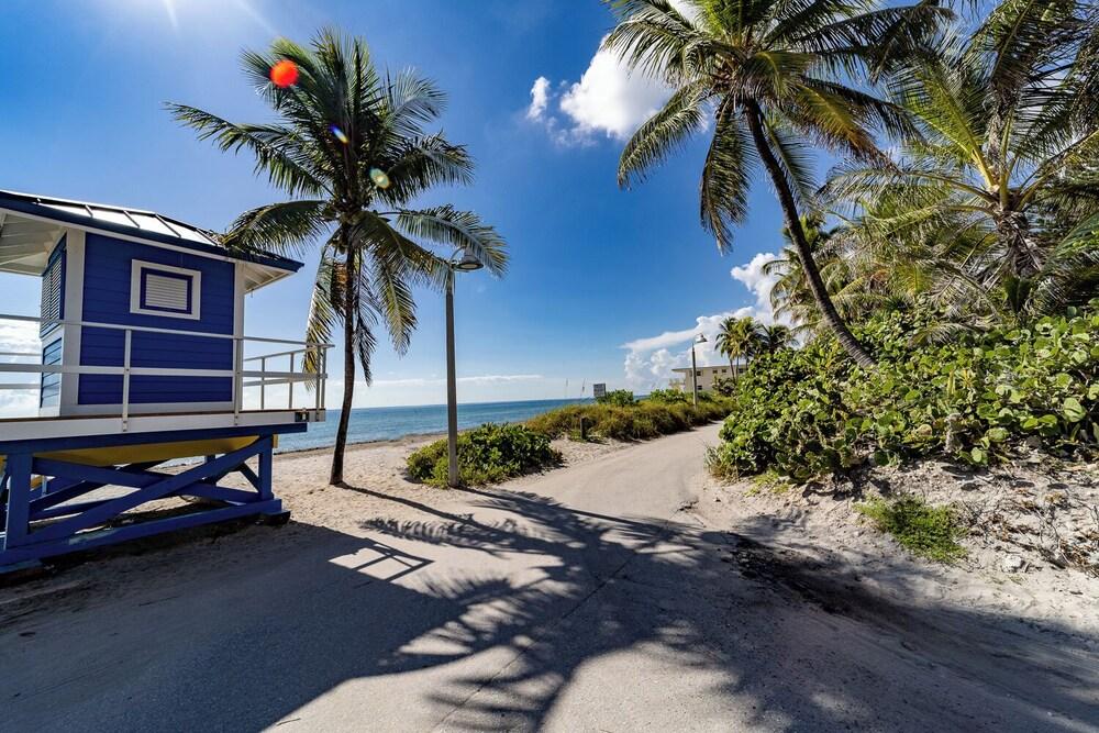 Palm By The Sea photo 15