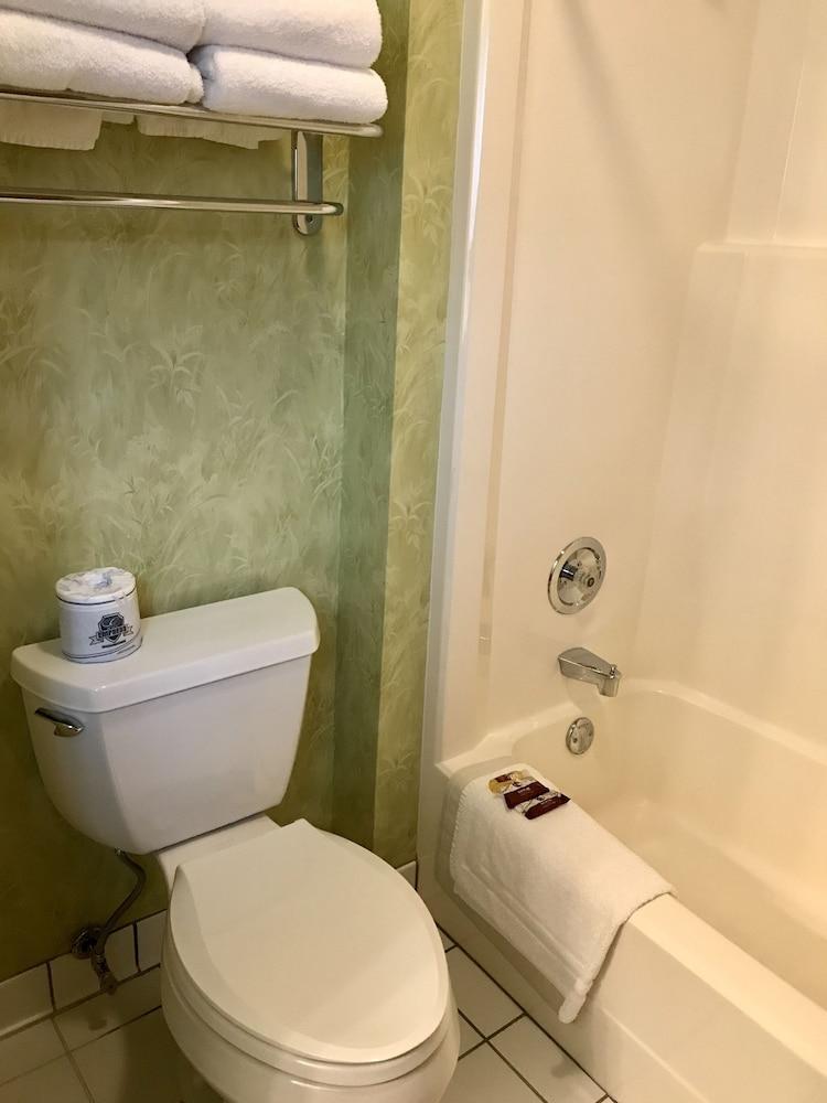 Main Street Motel photo 8