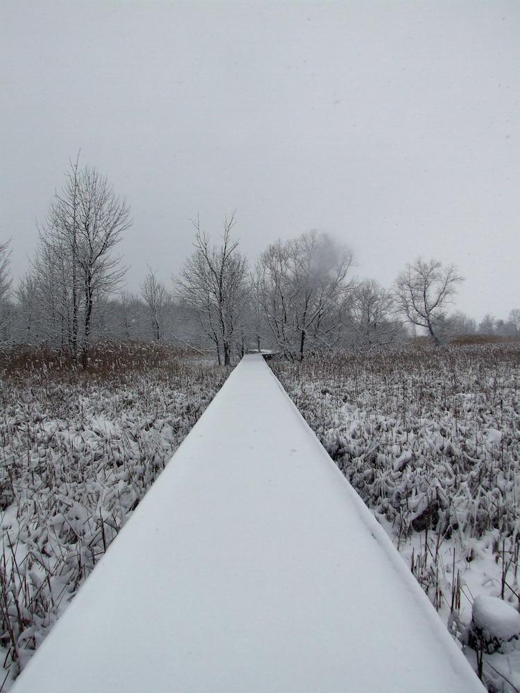 Maumee Bay Lodge and Conference Center photo 37