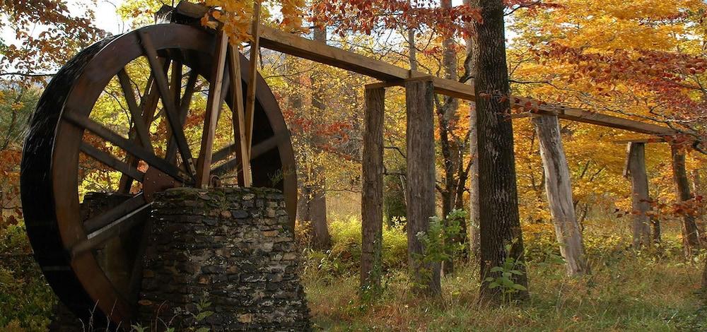 Bright's Creek Lodge photo 25