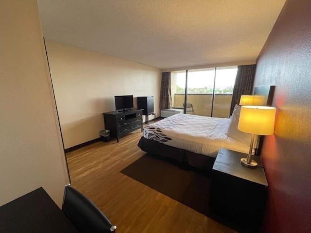 Tropical Palms Hotel photo 6