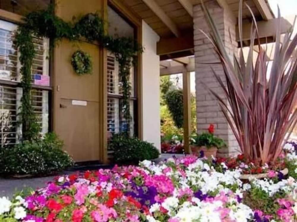 Adobe Inn photo 16