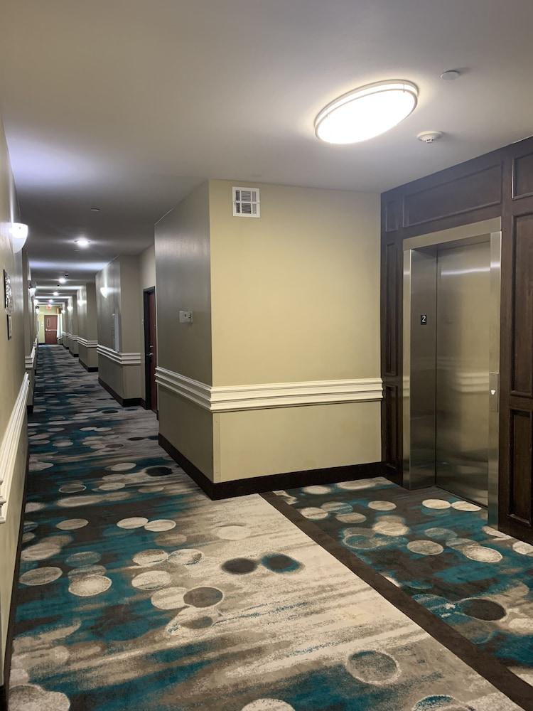 Rodeway Inn & Suites Winnfield photo 44