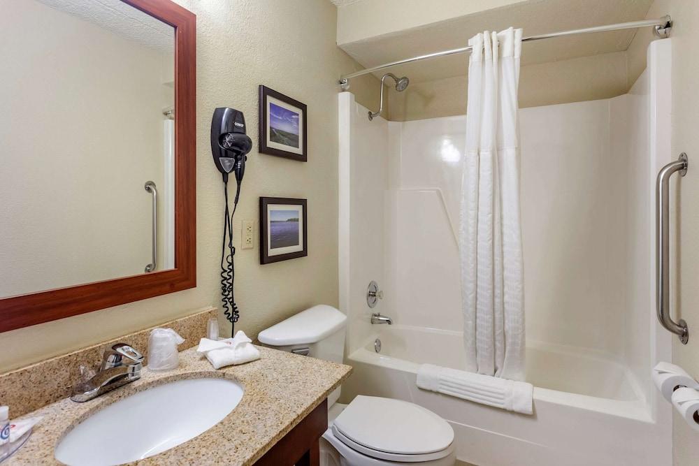 Comfort Inn & Suites Rochelle - DeKalb photo 68