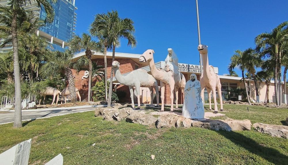 Sahara Beach Club photo 9