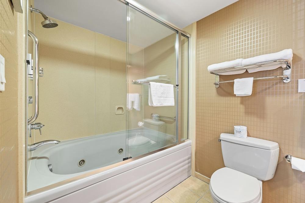 Alexis Park Hotel photo 36
