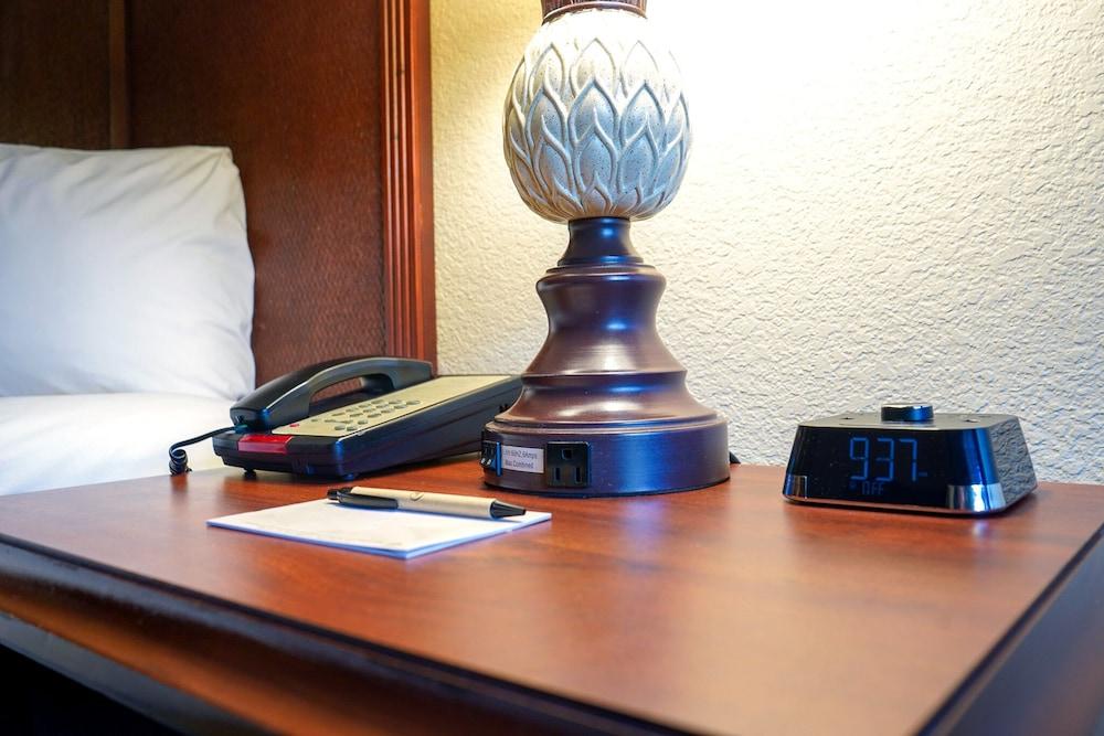 Rosen Inn Lake Buena Vista photo 25