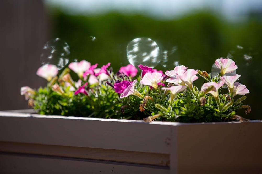 Aqualina Inn Montauk photo 96