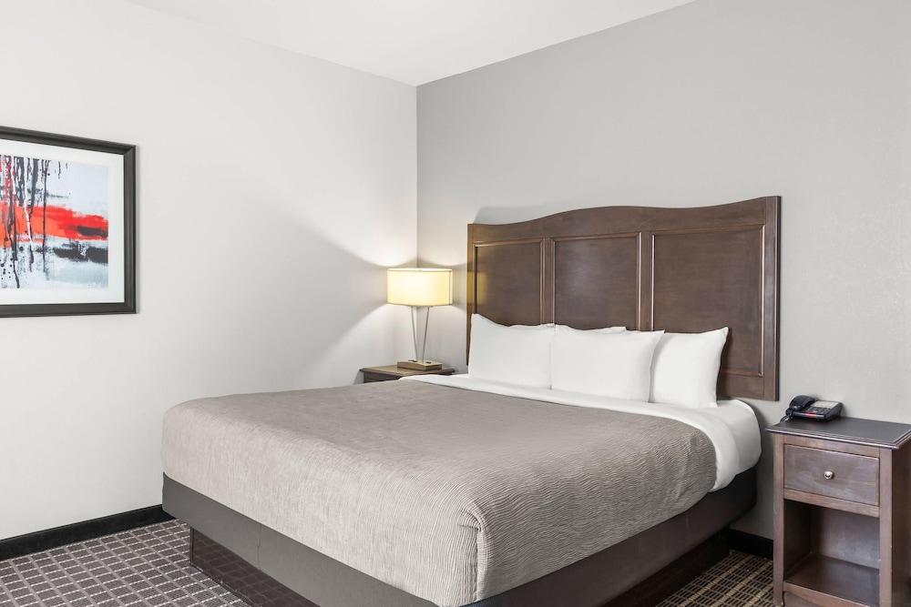 Quality Inn & Suites Pearsall photo 21