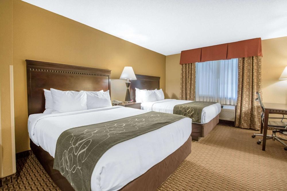 Comfort Suites Wisconsin Dells Area photo 35