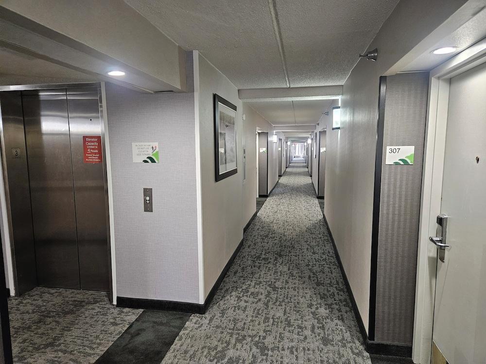 Wingate by Wyndham Greensboro/Coliseum photo 25