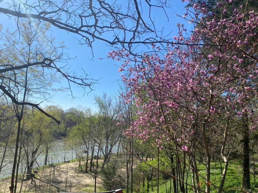 Ouachita River Haven photo 16