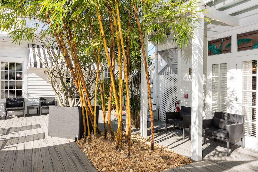 Alexanders Guesthouse - Adult Exclusive, LGBTQ Friendly photo 66