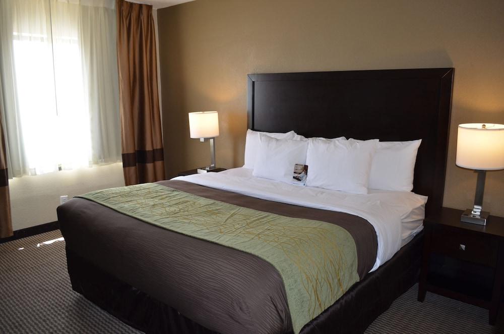 Comfort Inn Detroit Downtown photo 8