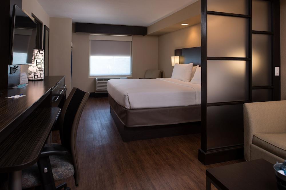 Holiday Inn Express & Suites San Antonio Medical-Six Flags by IHG photo 40