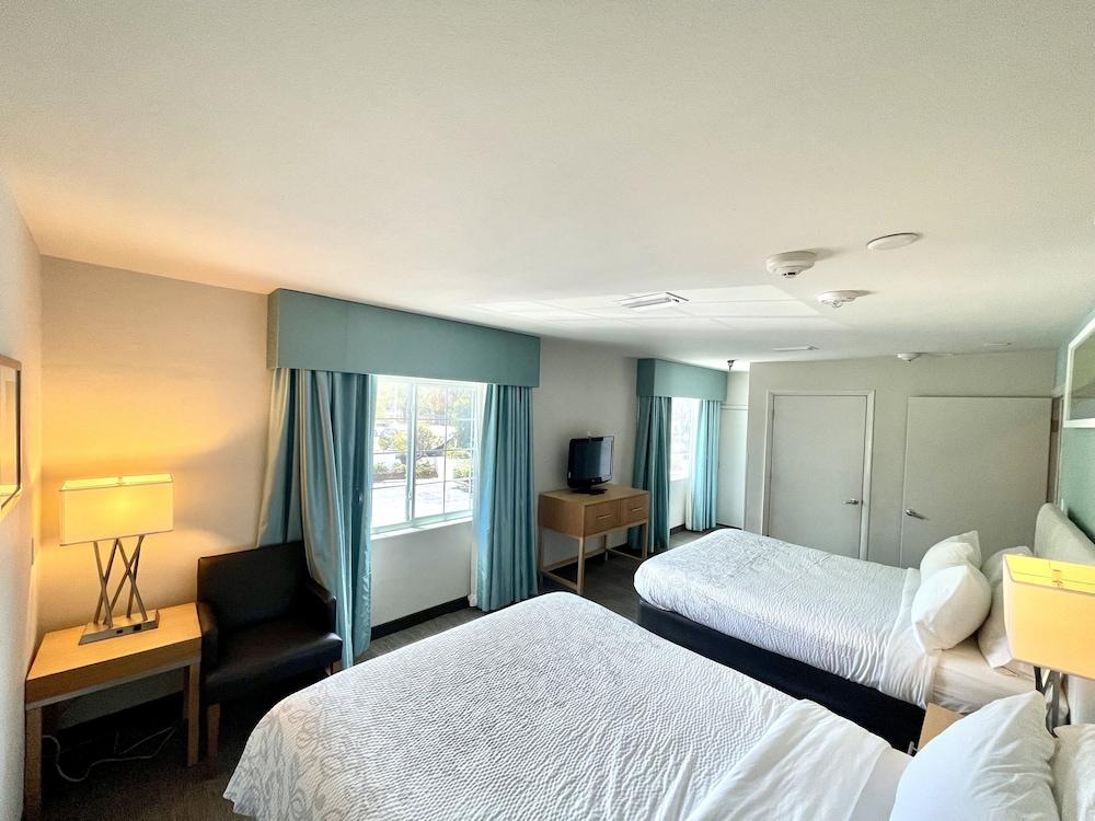 Red Roof Inn PLUS+ & Suites Tampa photo 15