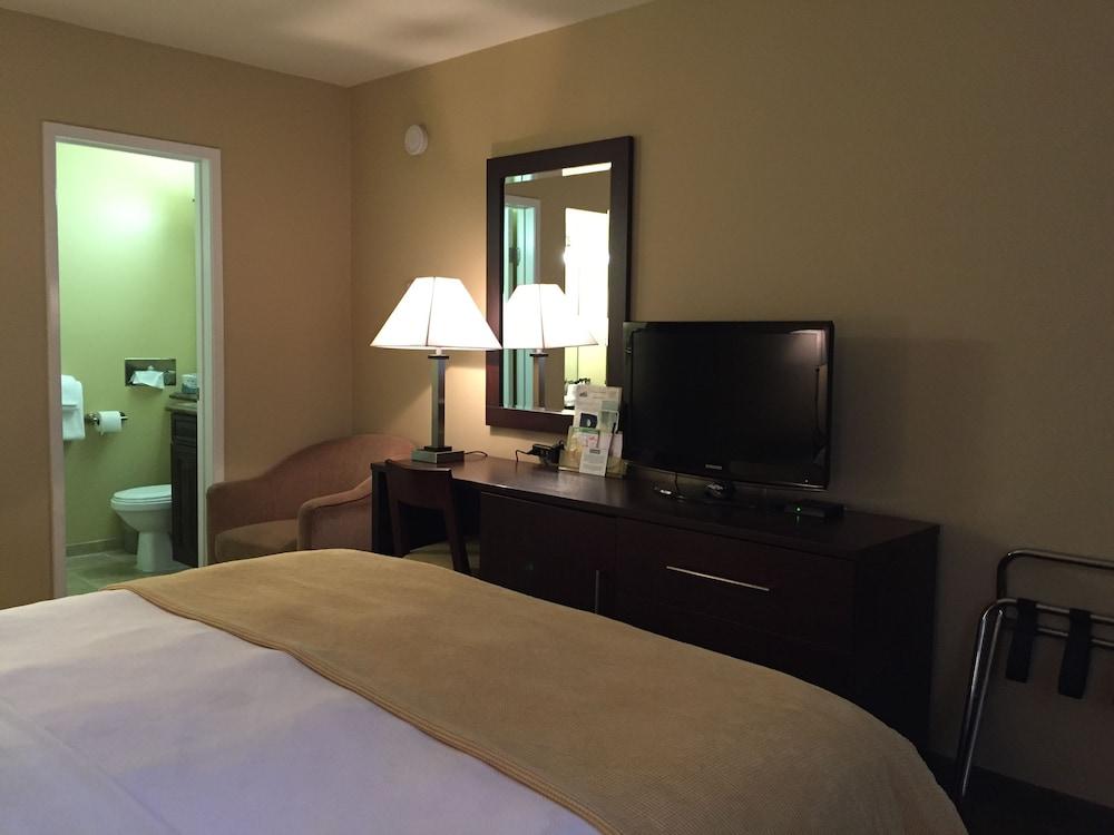 Travelodge by Wyndham Presidio San Francisco photo 29