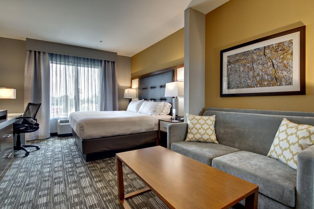 Holiday Inn Express Hotel & Suites Albany by IHG photo 30