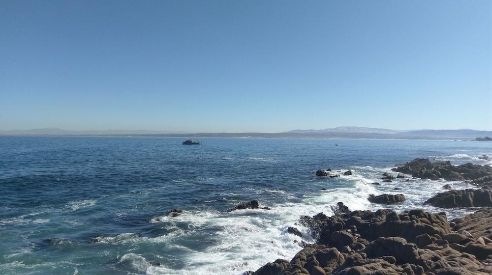 Pacific Grove Inn photo 49