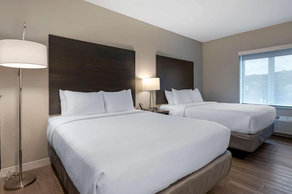 Comfort Suites Cincinnati University - Downtown photo 10