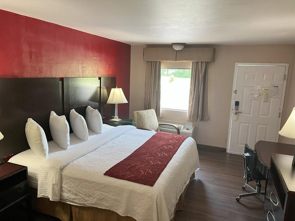 Pine Tree Inn photo 21